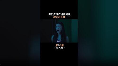 热点爆料搞笑视频转场,笑点连连